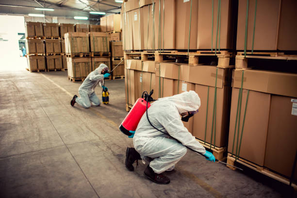 Reliable Forest Park, OH Pest Control Solutions