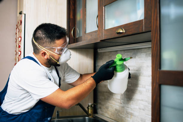 Best Emergency Pest Control  in Forest Park, OH
