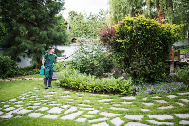 Trusted Forest Park, OH Pest Control Experts