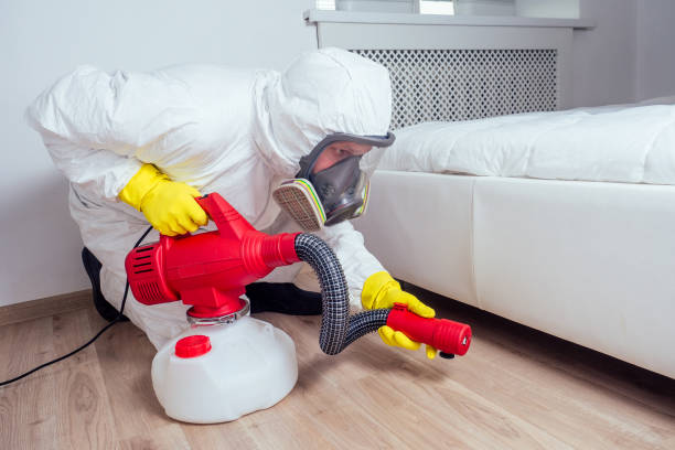 Best Mosquito Control Services  in Forest Park, OH