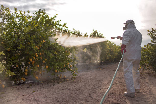 Best Pest Control Near Me  in Forest Park, OH