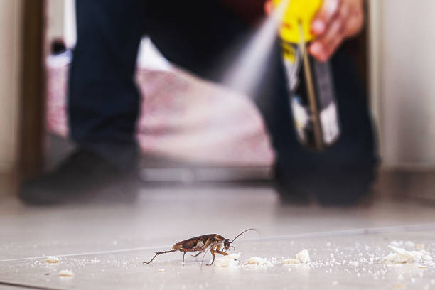 Pest Control Cost in Forest Park, OH