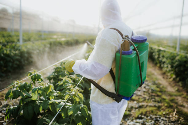 Best Wasp Removal Services  in Forest Park, OH